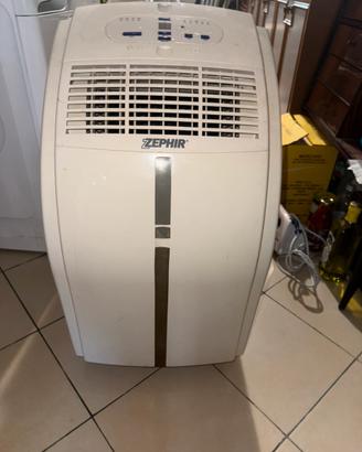 condizionatore ZEPHIR portatile,pinguino