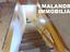 Immagine 9