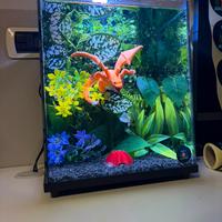 Acquario Pokemon Charizard