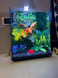 Acquario Pokemon Charizard