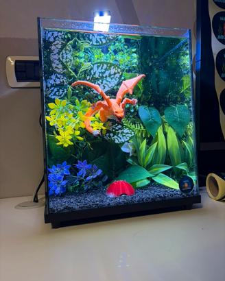 Acquario Pokemon Charizard