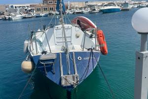 divertimento assicurato