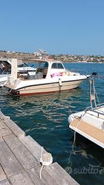 barca cabinata rio 800 fish