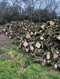 legna da ardere di ulivo