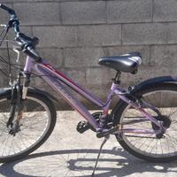 Bicicletta mtb ruote 26"