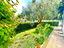 Immagine 7