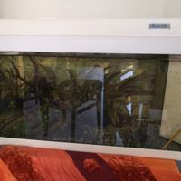 Acquario "Birby 2 luxline"