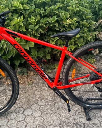 Mtb Cannondale Trail 5