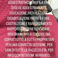Corso addestramento cani