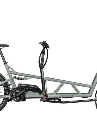 Ebike