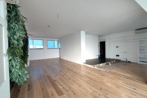 Fondo commerciale a vinci