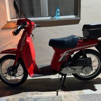 Honda SH 50 Scoopy city express