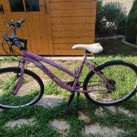 Bici rosa