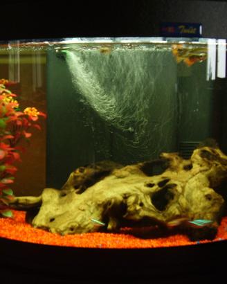 Acquario con mobiletto