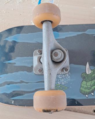 skate cm 70, golden dragon.