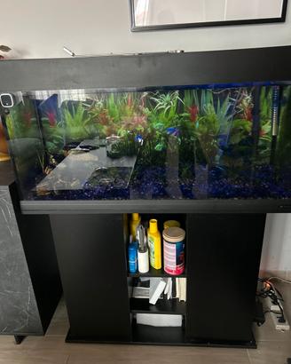 Acquario