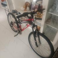 Mtb bambino 