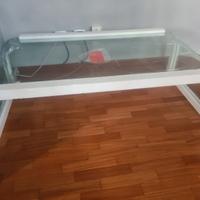 Fontana Arte Tavolino curvo