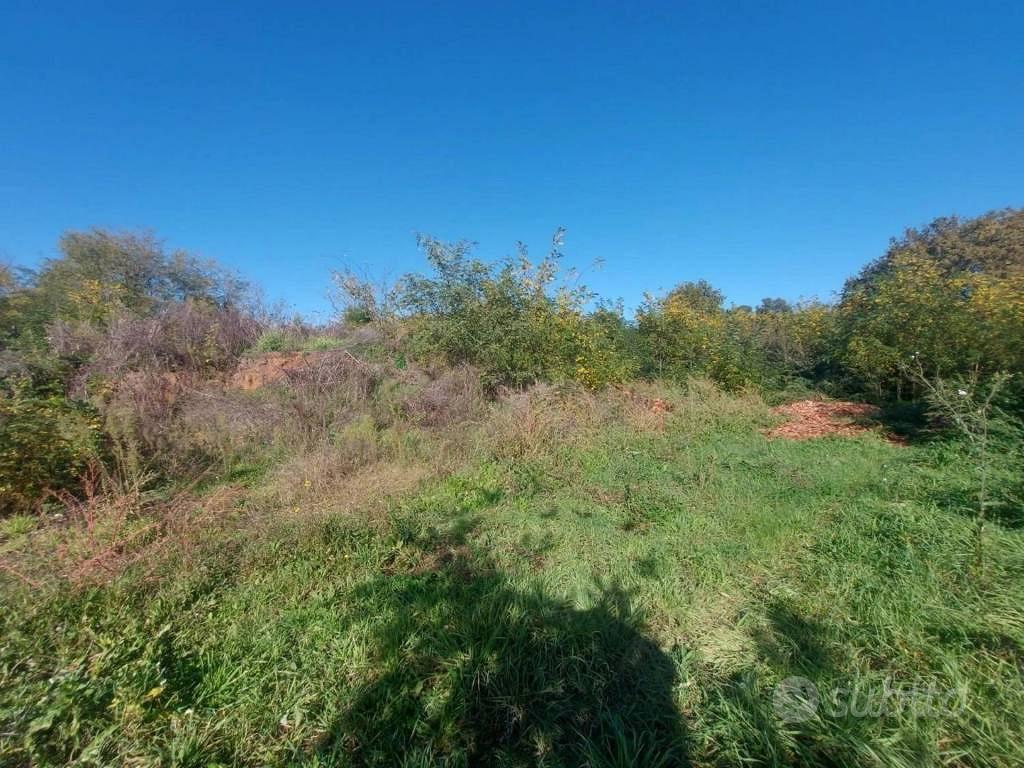 Immobile in asta di 3640 m² a Artena - Vista 4