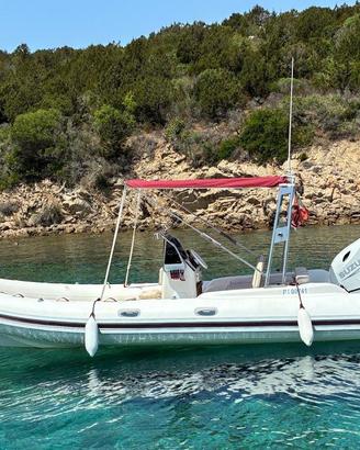 gommone  led metri 6