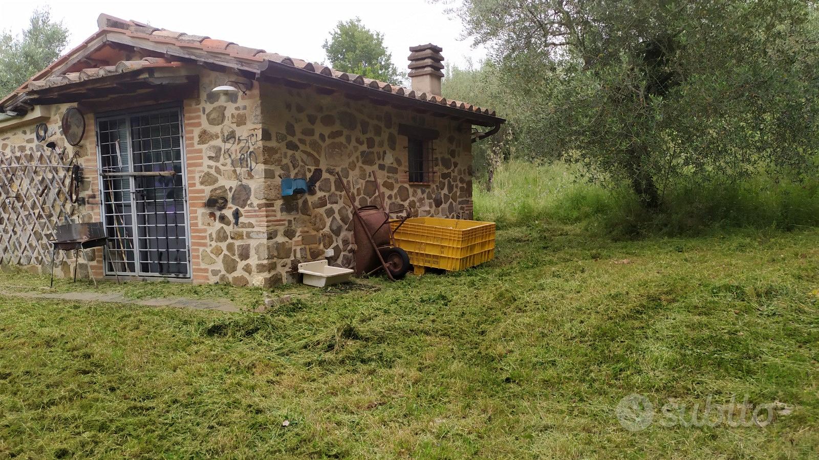 Oliveto con annesso - Vista 6
