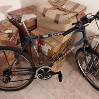 Bicicletta Carraro 