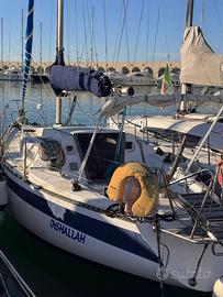 Barca a vela - CAT 33