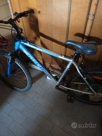 bici trek