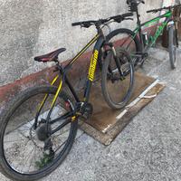 lombardo sestiere 350