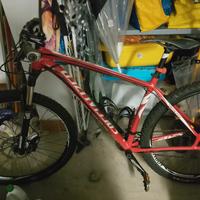 Mountain bike professionale 