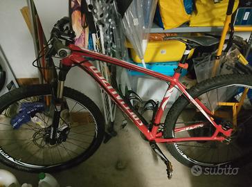 Mountain bike professionale 