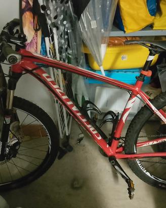 Mountain bike professionale 