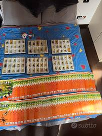 collezione completa “insetti da tutto il mondo”