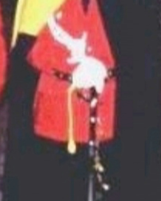 Uniforme ranger d'italia