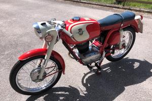 MV Agusta GTES 99 Sport targa oro FMI