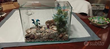 Acquario in cristallo