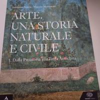 arte una storia naturale e civile 1