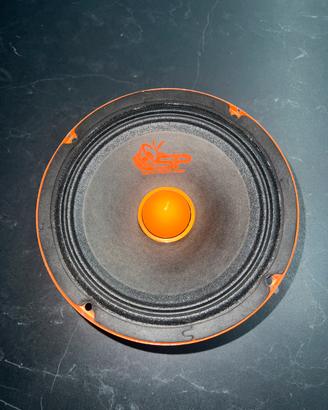 Coppia speaker SP AUDIO 200 Watt