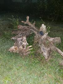 pezzi di legna