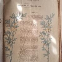 "L’Illustrazione Popolare" 1905 – Fratelli Treves