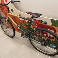 Bicicletta Mountain bike