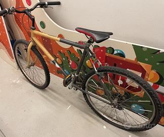 Bicicletta Mountain bike