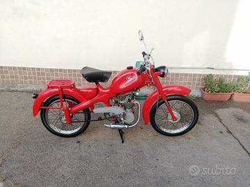 Motom Altro modello - 1961
