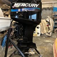 Mercury optimax 225