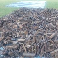 Legna da ardere secca