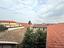 Immagine 11