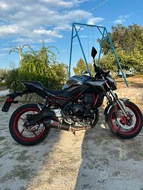 KAWASAKI Z650 2024 (35kW/A2)