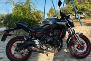 KAWASAKI Z650 2024 (35kW)