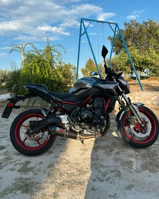 KAWASAKI Z650 2024 (35kW)
