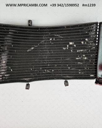 RADIATORE ACQUA HONDA CBR 954 RR 2002 2003